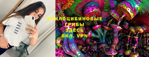 МДПВ Богородицк