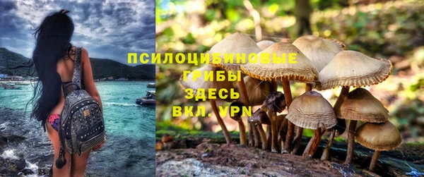 каннабис Богданович