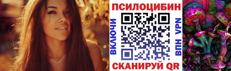 omg ссылка Ершов Псилоцибиновые грибы Psilocybine cubensis как найти наркотики